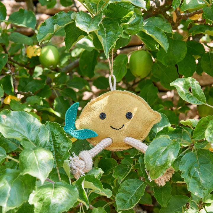 Green & Wilds Eco Dog Toy - Libby the Lemon