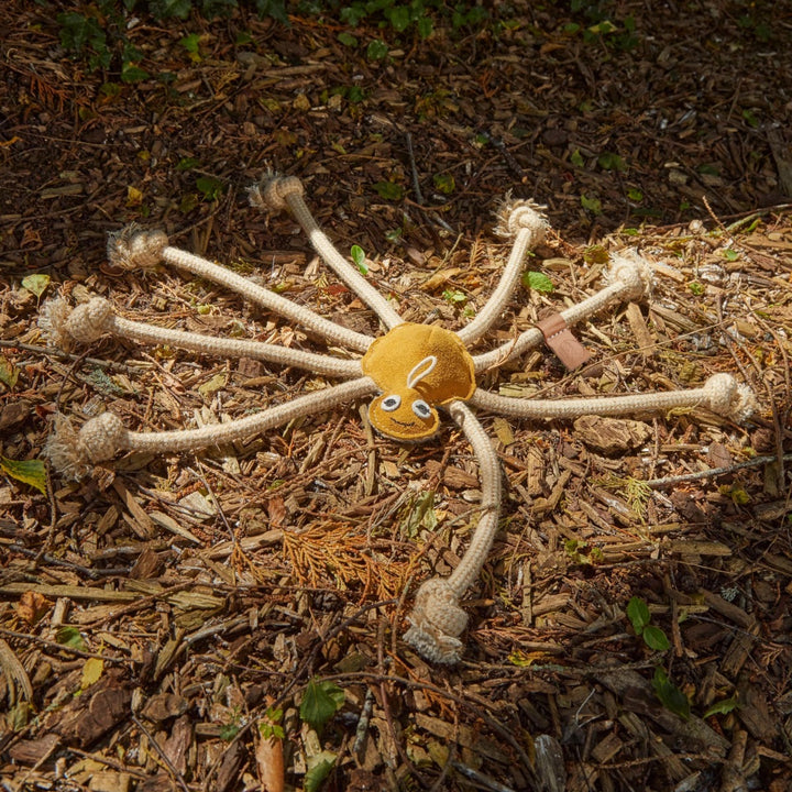 Green & Wilds Eco Dog Toy - Lily Longlegs