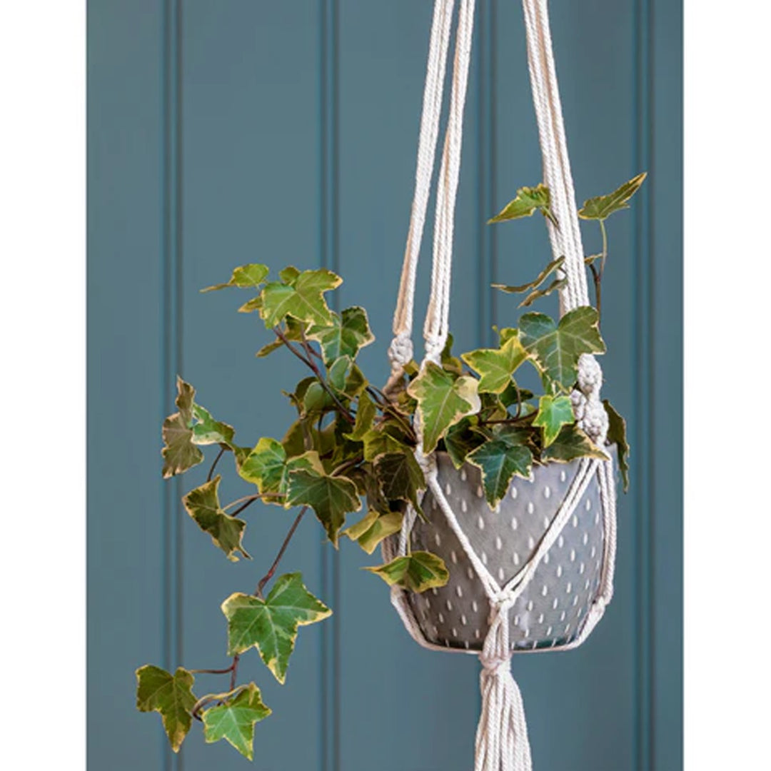 Burgon & Ball Macramé Hanging Pot