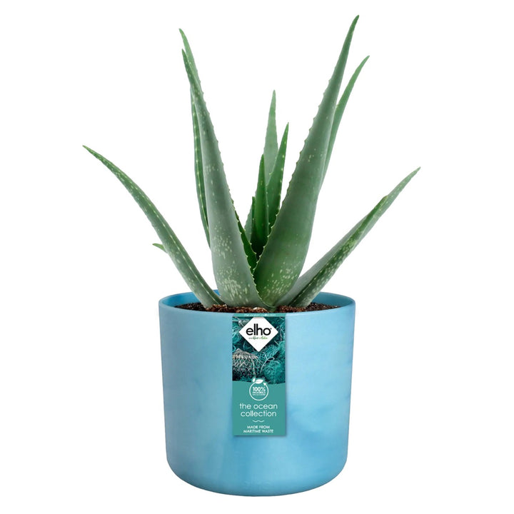 Elho Ocean Collection Recycled Plastic Plant Pot - Blue