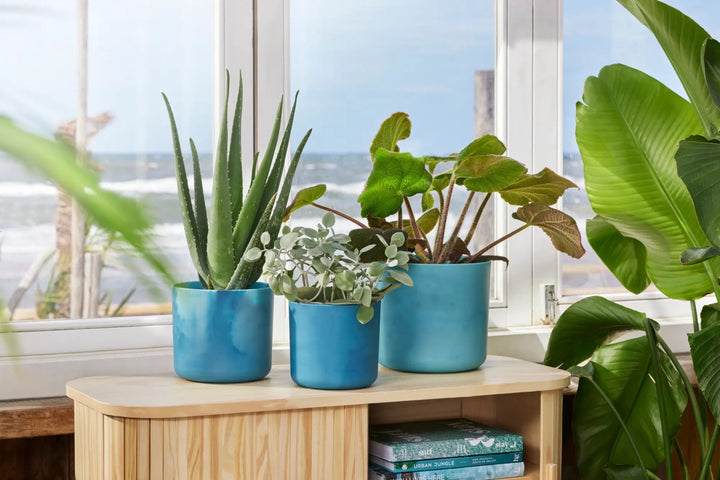 Elho Ocean Collection Recycled Plastic Plant Pot - Blue
