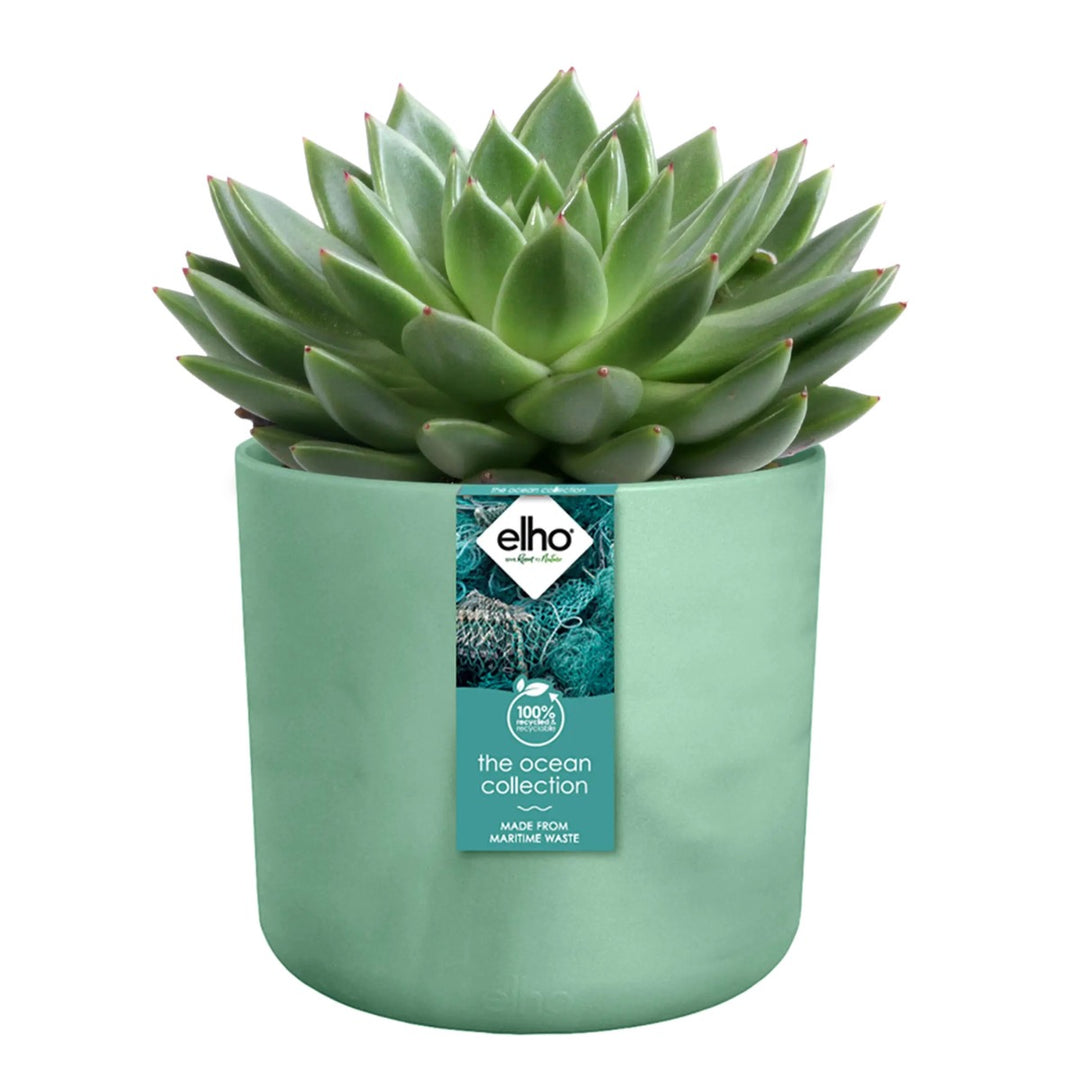 Elho Ocean Collection Recycled Plastic Plant Pot - Green