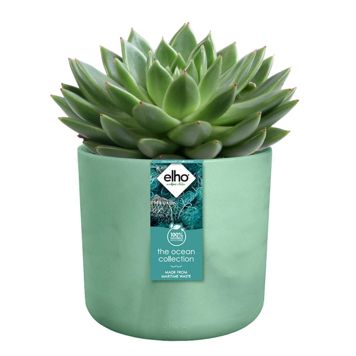 Elho Ocean Collection Recycled Plastic Plant Pot - Green