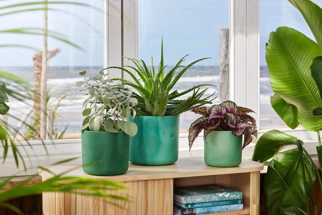 Elho Ocean Collection Recycled Plastic Plant Pot - Green