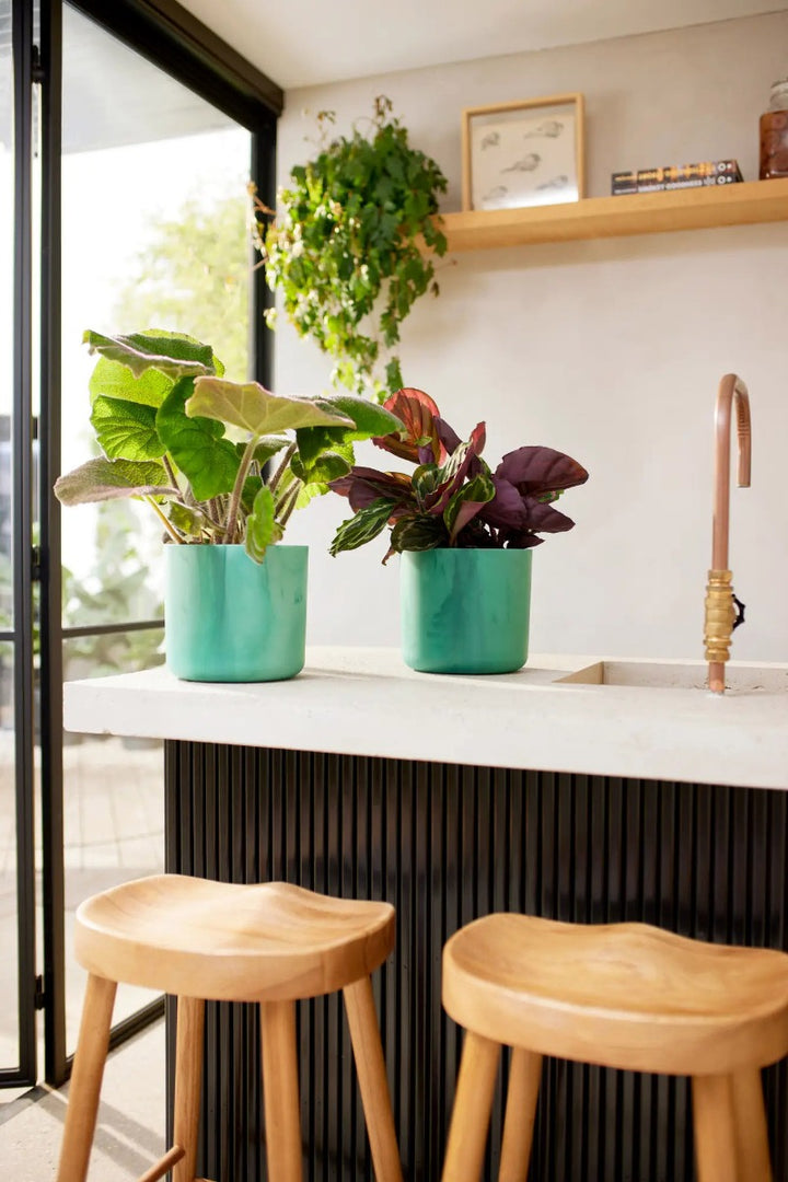 Elho Ocean Collection Recycled Plastic Plant Pot - Green