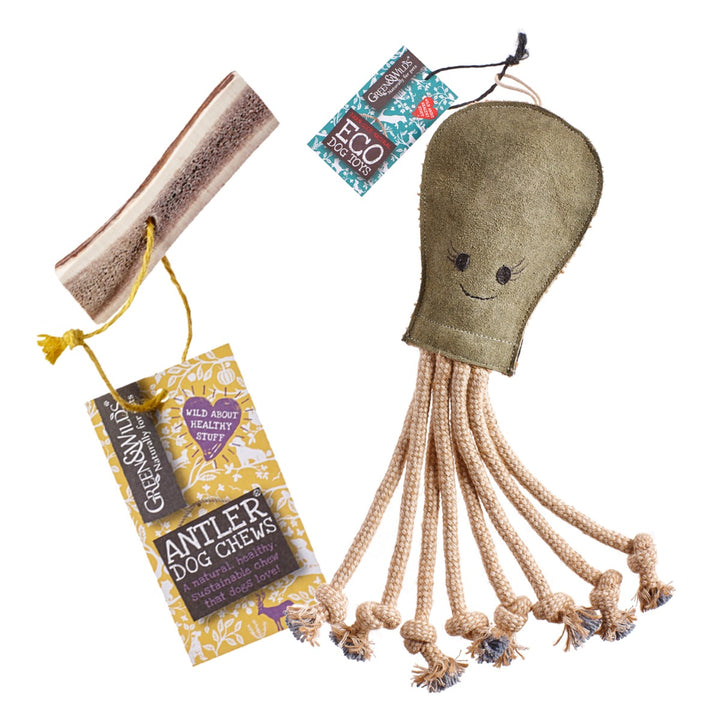 Green & Wilds Dog Gift Set - Olive Octopus & Treat Bag / Chew Option
