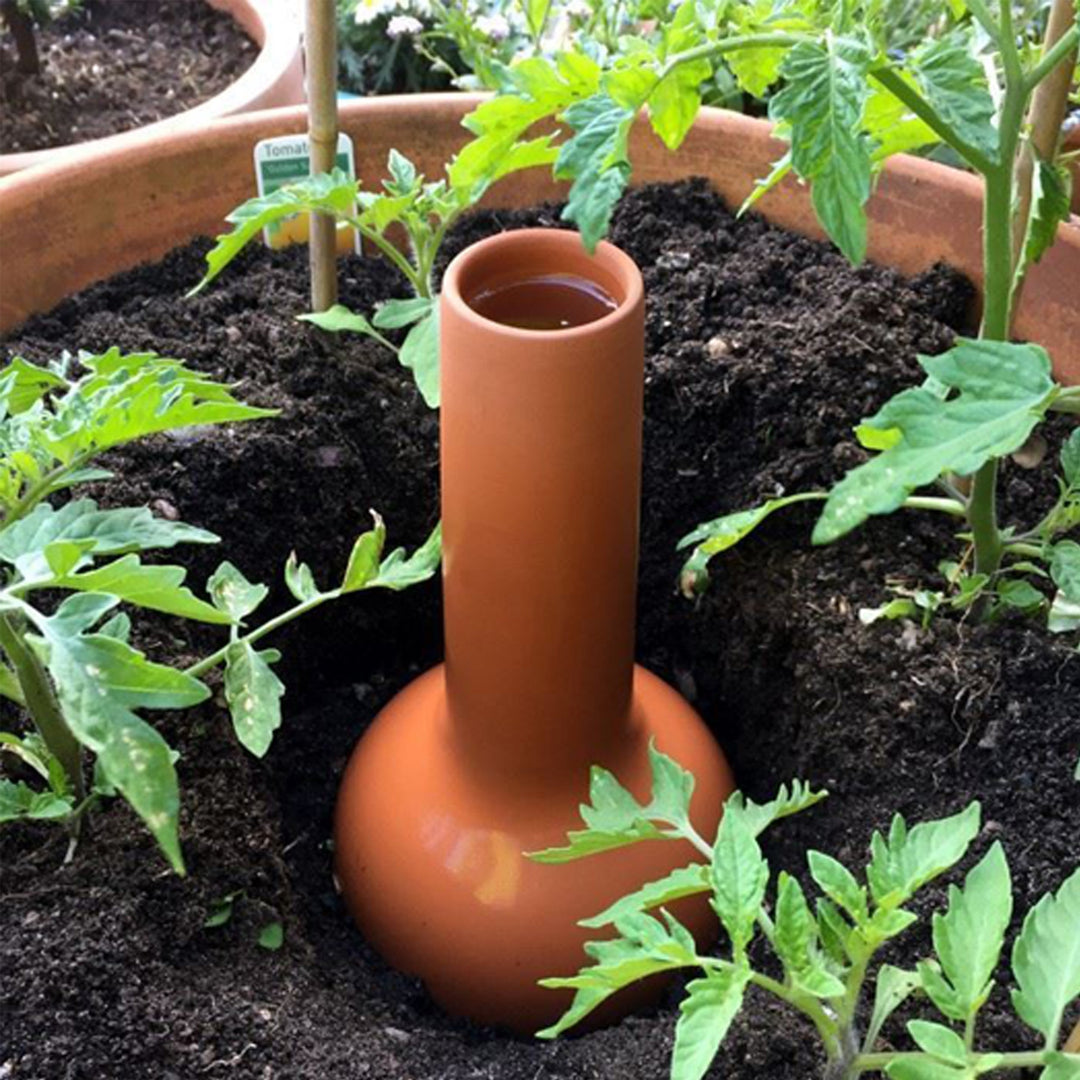 Olla Irrigation Pot for Plants