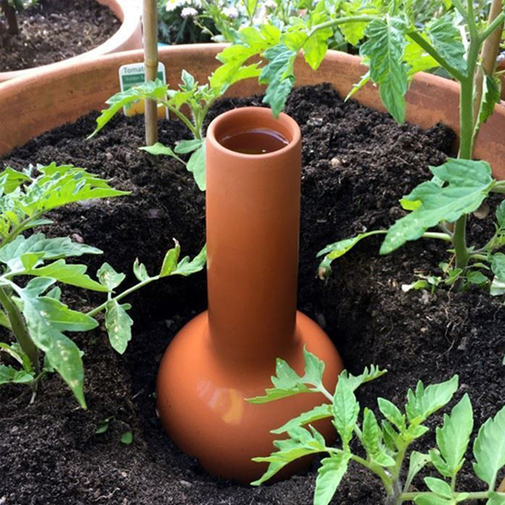 Olla Irrigation Pot for Plants