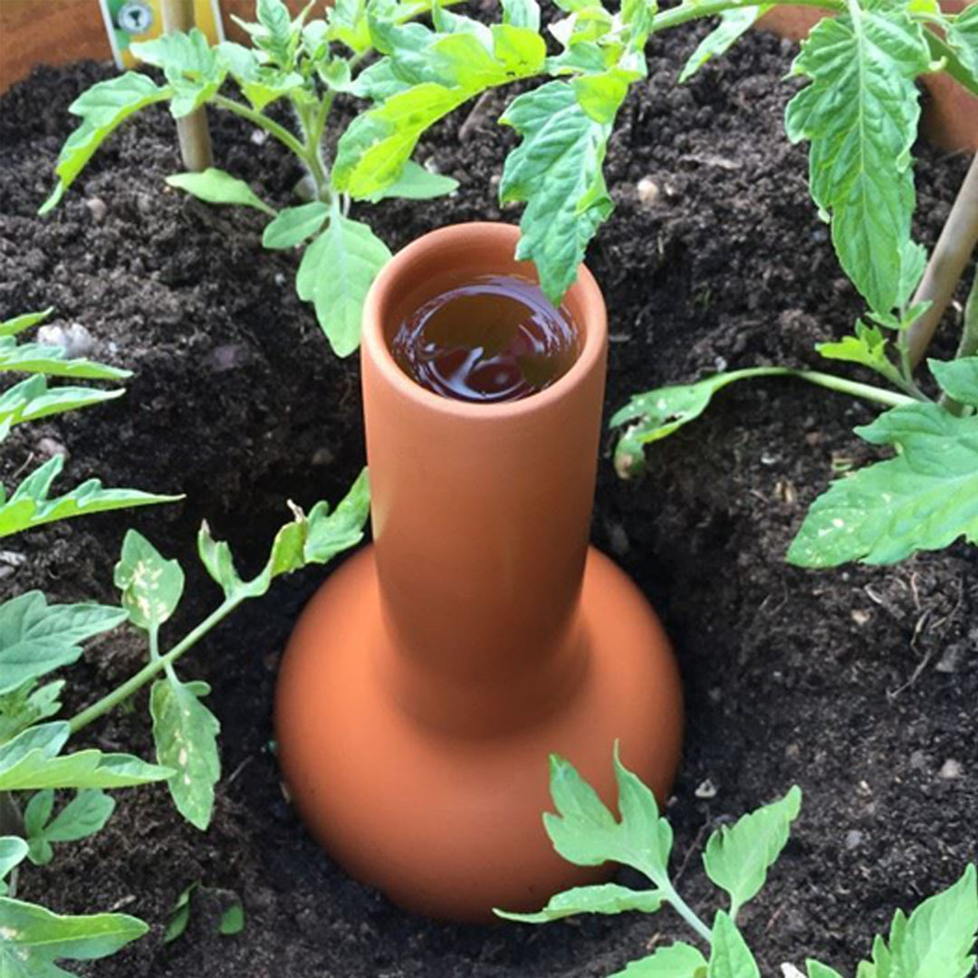 Olla Irrigation Pot for Plants