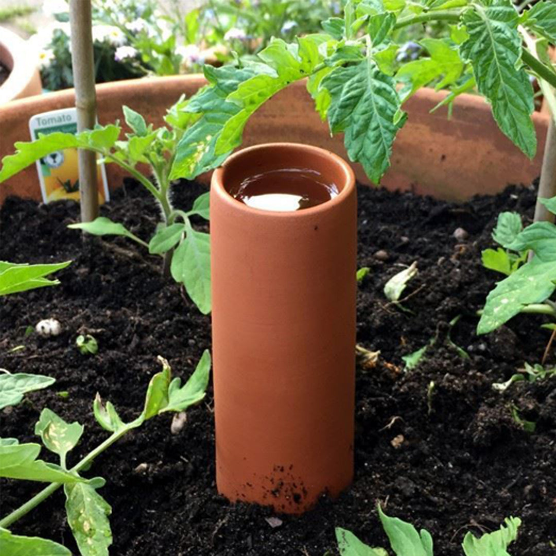 Olla Irrigation Pot for Plants