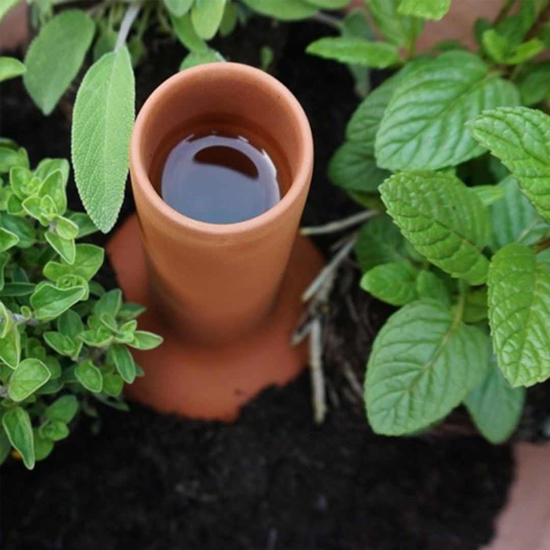 Olla Irrigation Pot for Plants