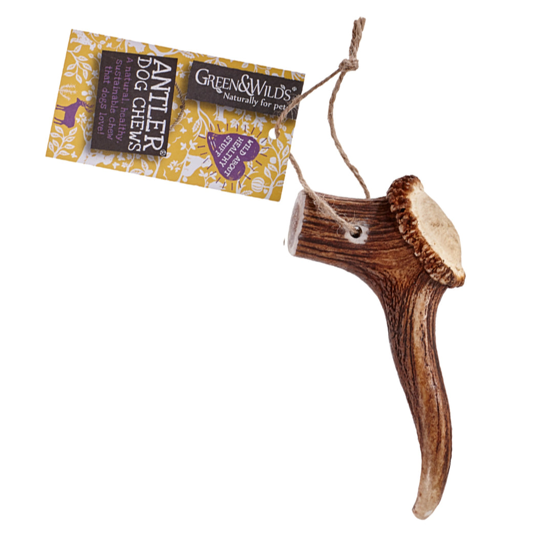 Green & Wilds Original Antler Dog Chew - Various Sizes