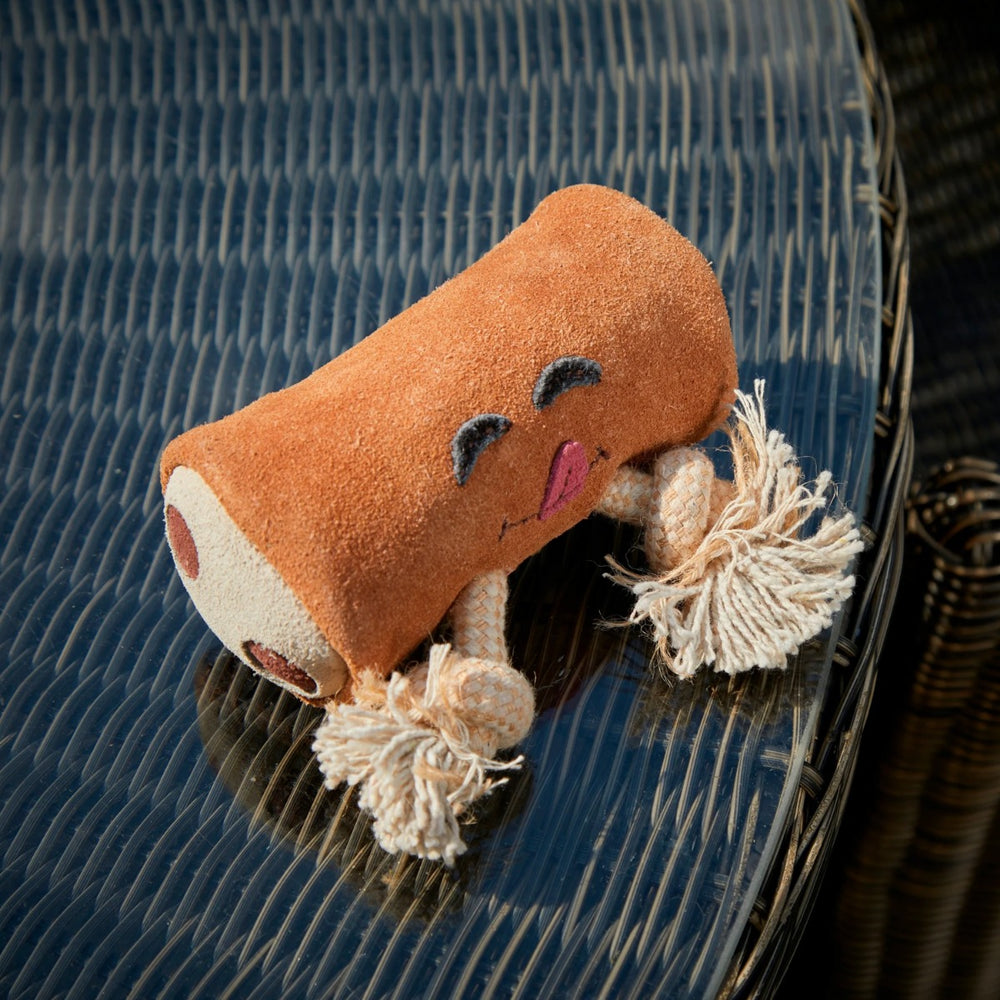 ideal for a fun game of fetch with your furry friend.