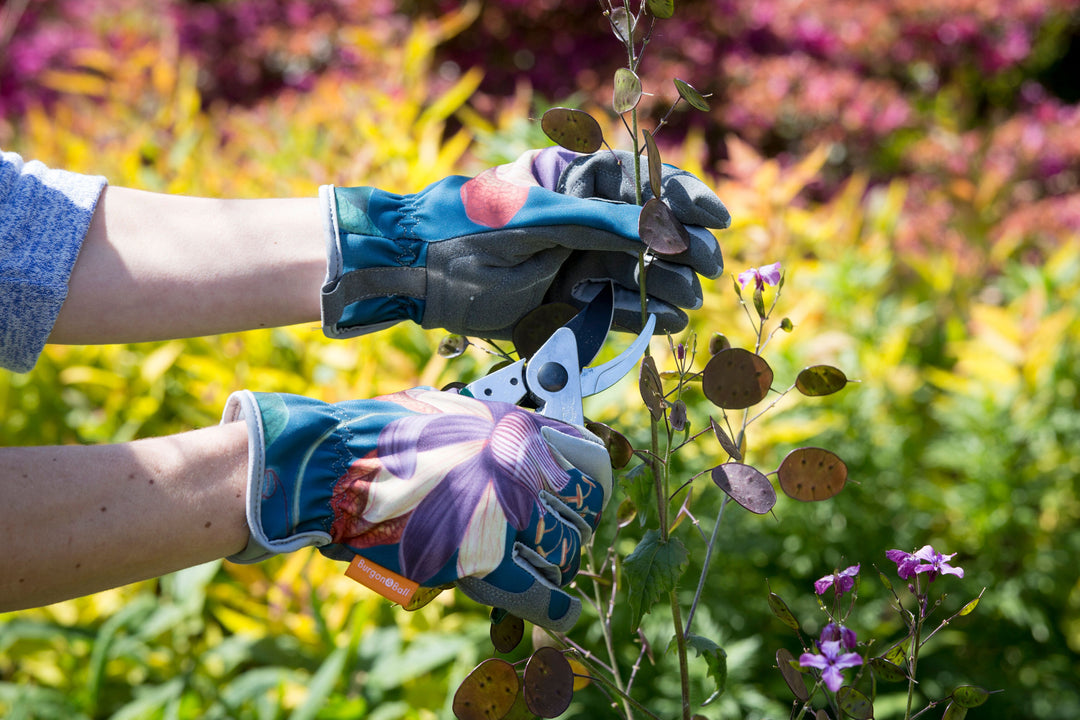 Burgon & Ball Passiflora Gardening Gloves