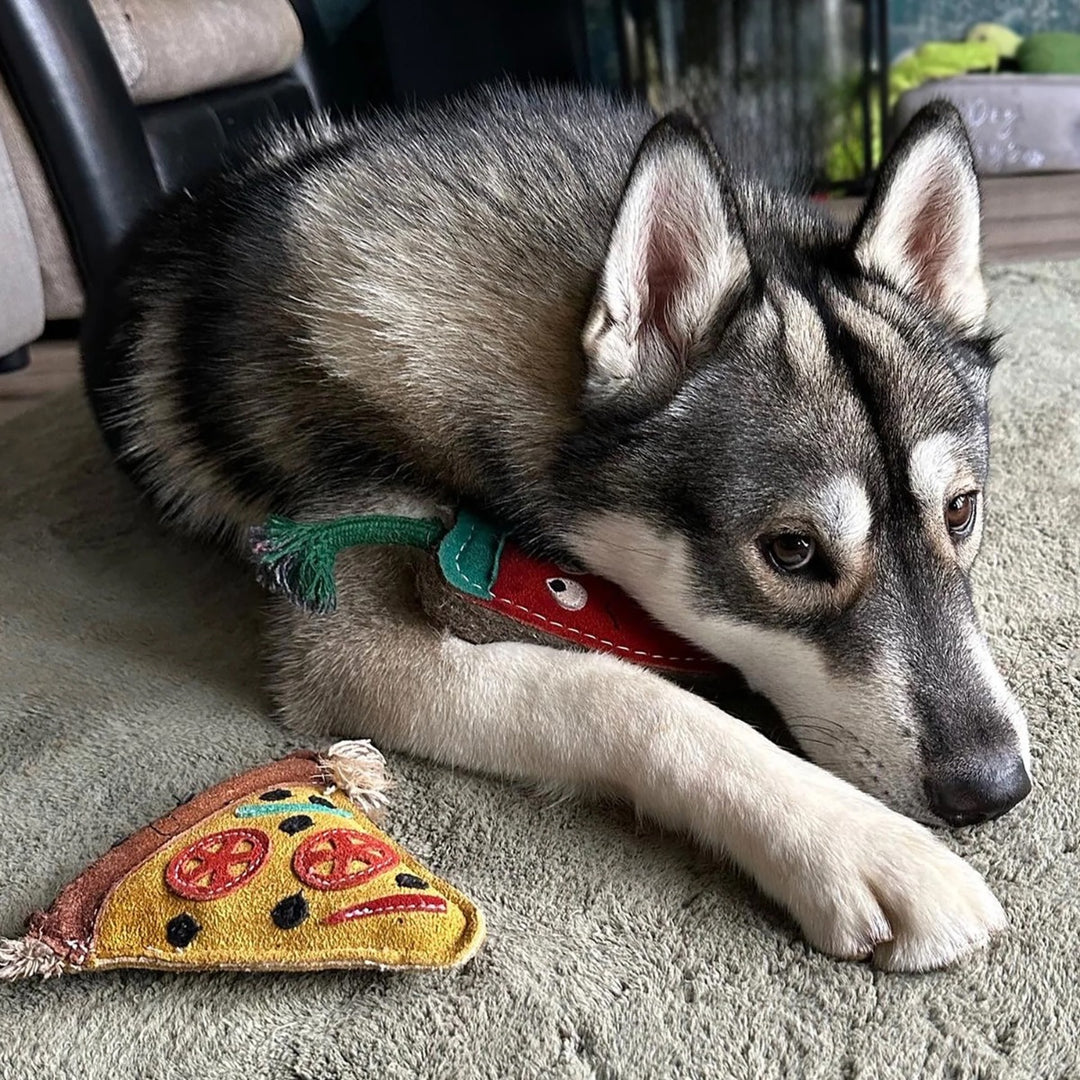 Green & Wilds Eco Dog Toy - Pepe La Pizza