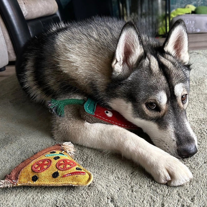 Green & Wilds Eco Dog Toy - Pepe La Pizza