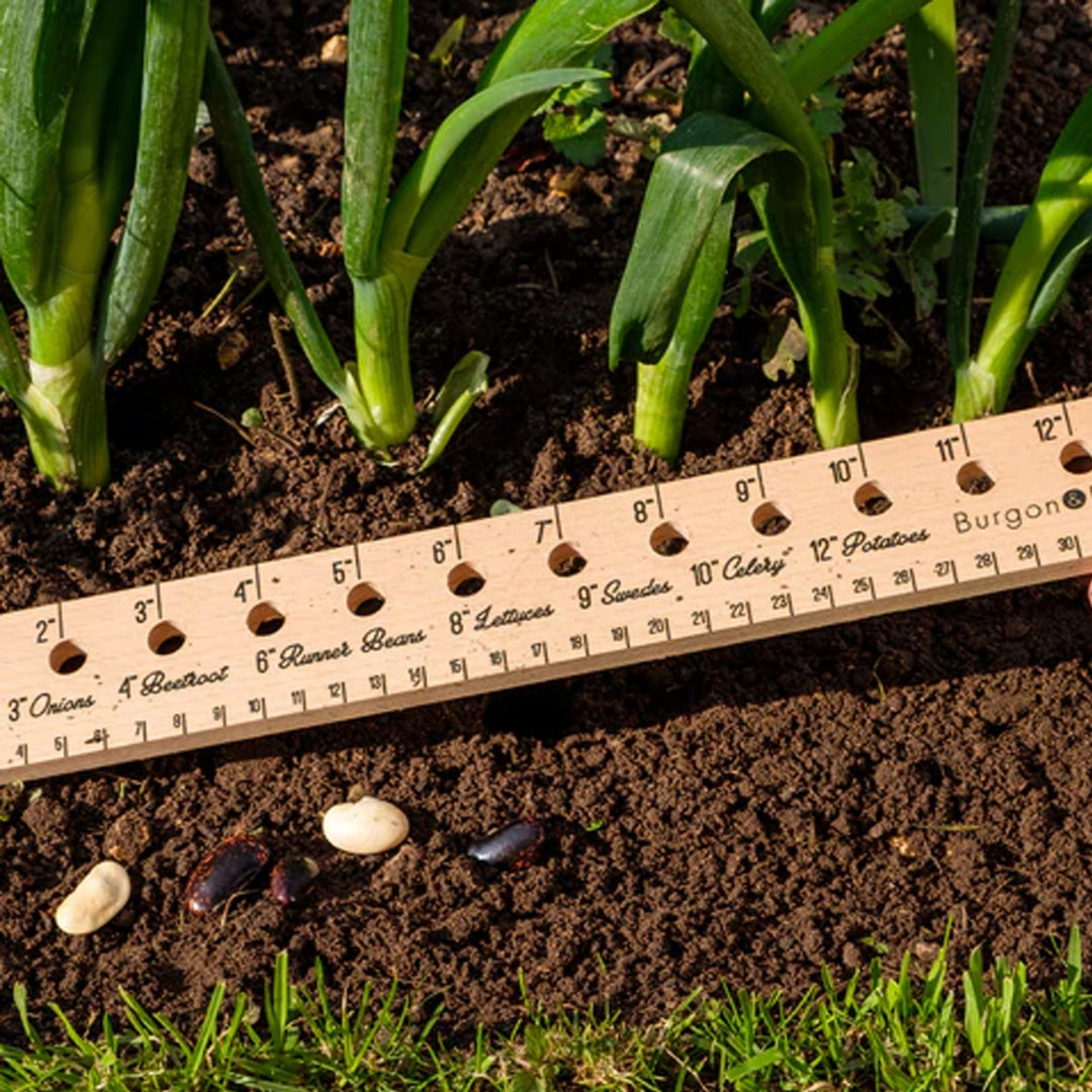 Burgon & Ball Essential Tools - Planting Ruler