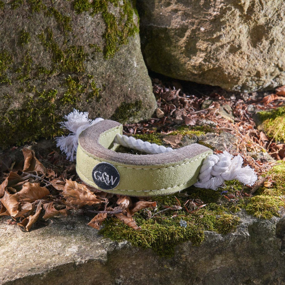 Eco-friendly dog toy for pulling