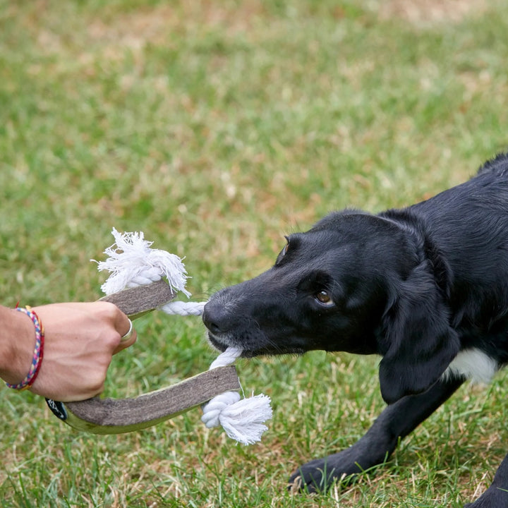 Green & Wilds Eco Dog Toy - Push Me, Pull Me Ring