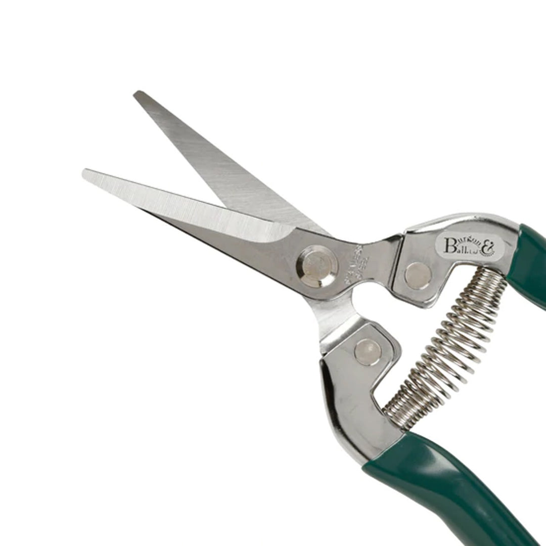 Burgon & Ball RHS Fruit & Flower Snip