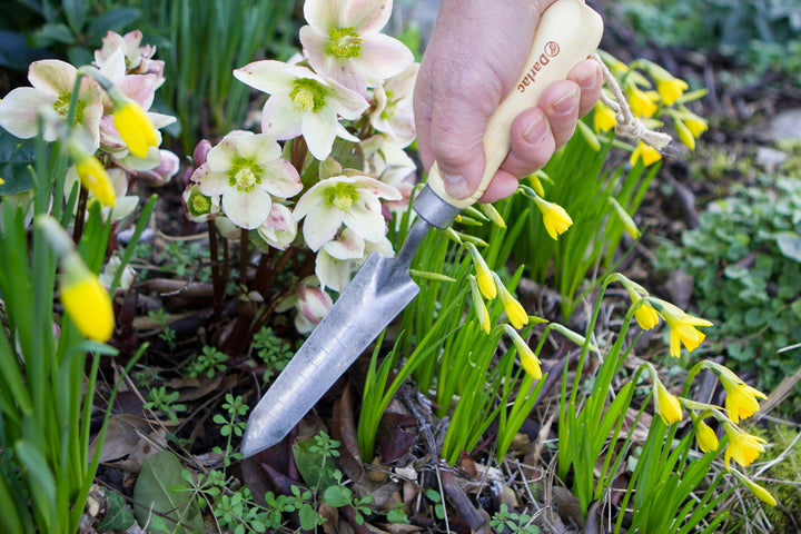 Darlac Bamboo Rockery Trowel