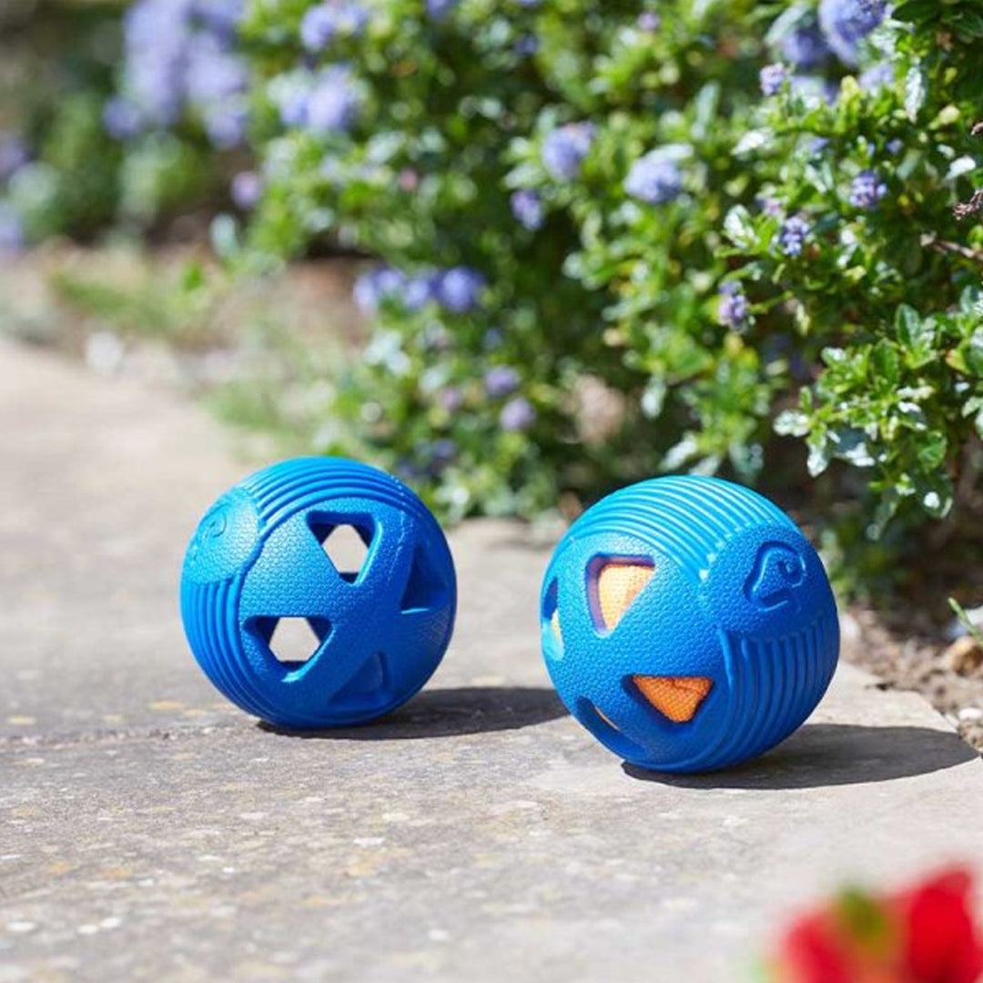 Smart Garden Dog Toy - Rubber Treat GumBall