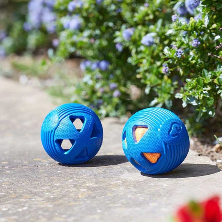 Smart Garden Dog Toy - Rubber Treat GumBall