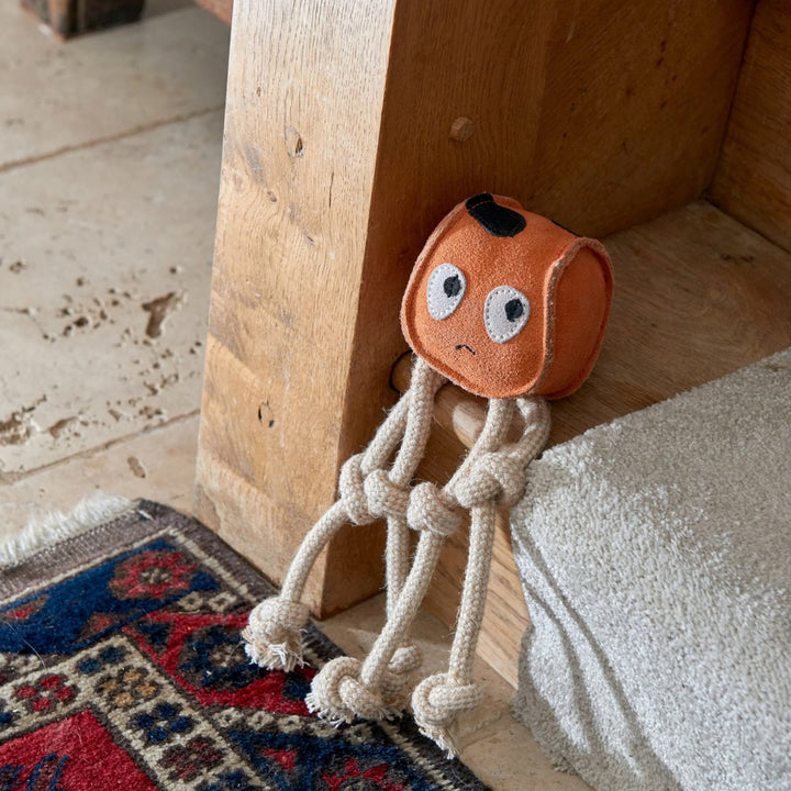  in the shape of an orange squid