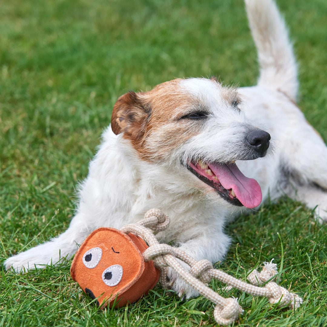 Green & Wilds Eco Dog Toy - Sid the Squid