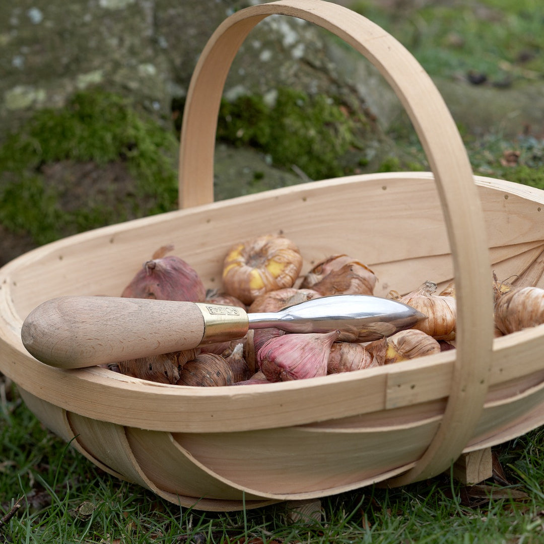Sophie Conran Dibber