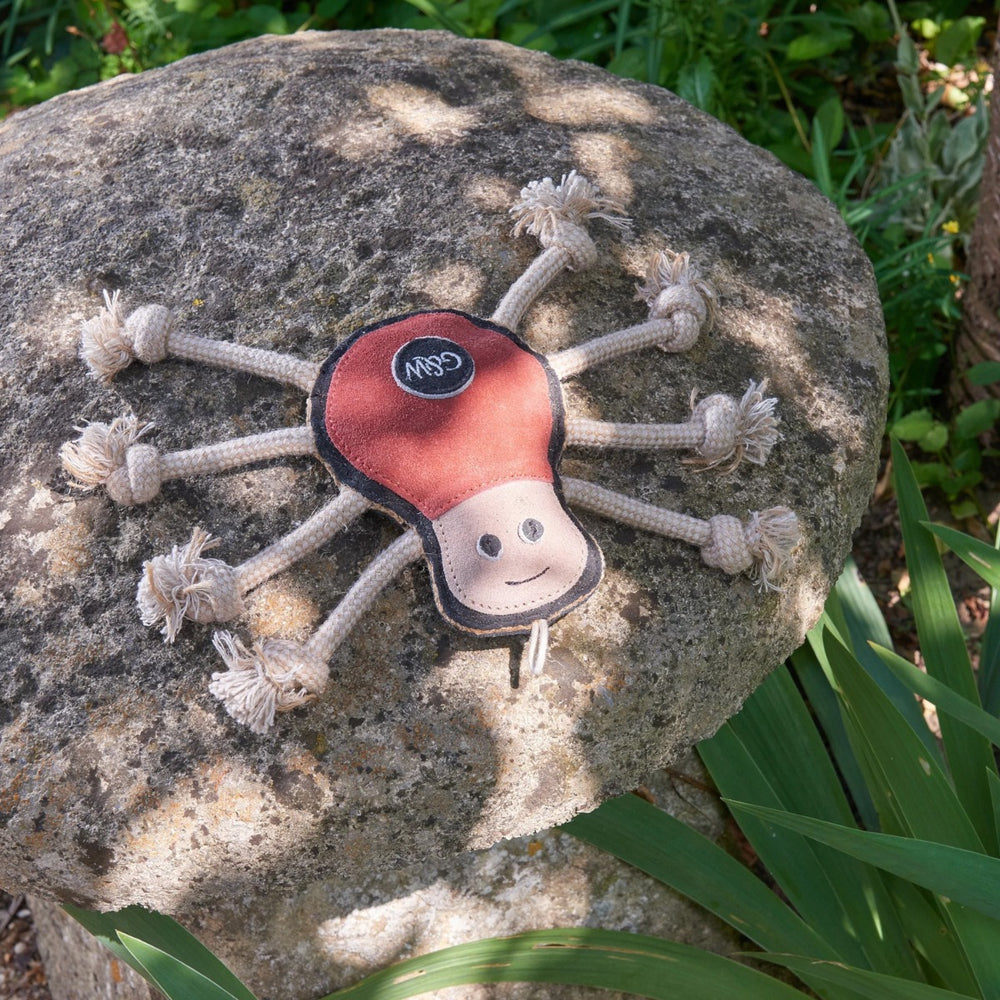 shaped like a spider with a happy face