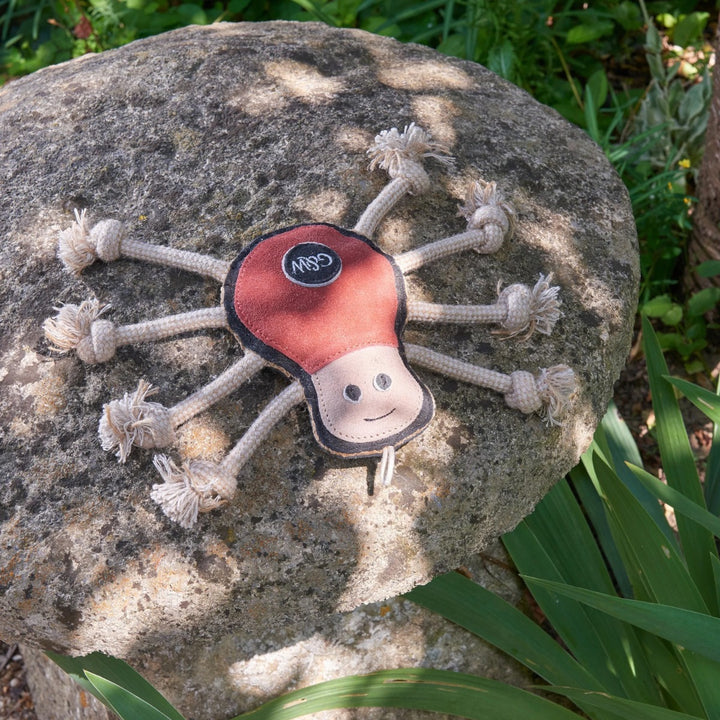  shaped like a spider with a happy face