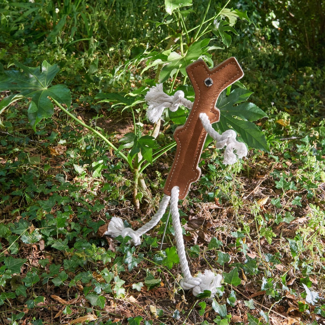 Green & Wilds Eco Dog Toy - Stick Man
