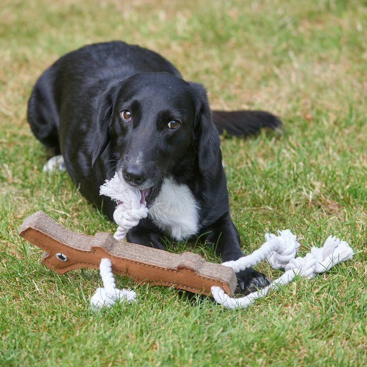 Green & Wilds Eco Dog Toy - Stick Man