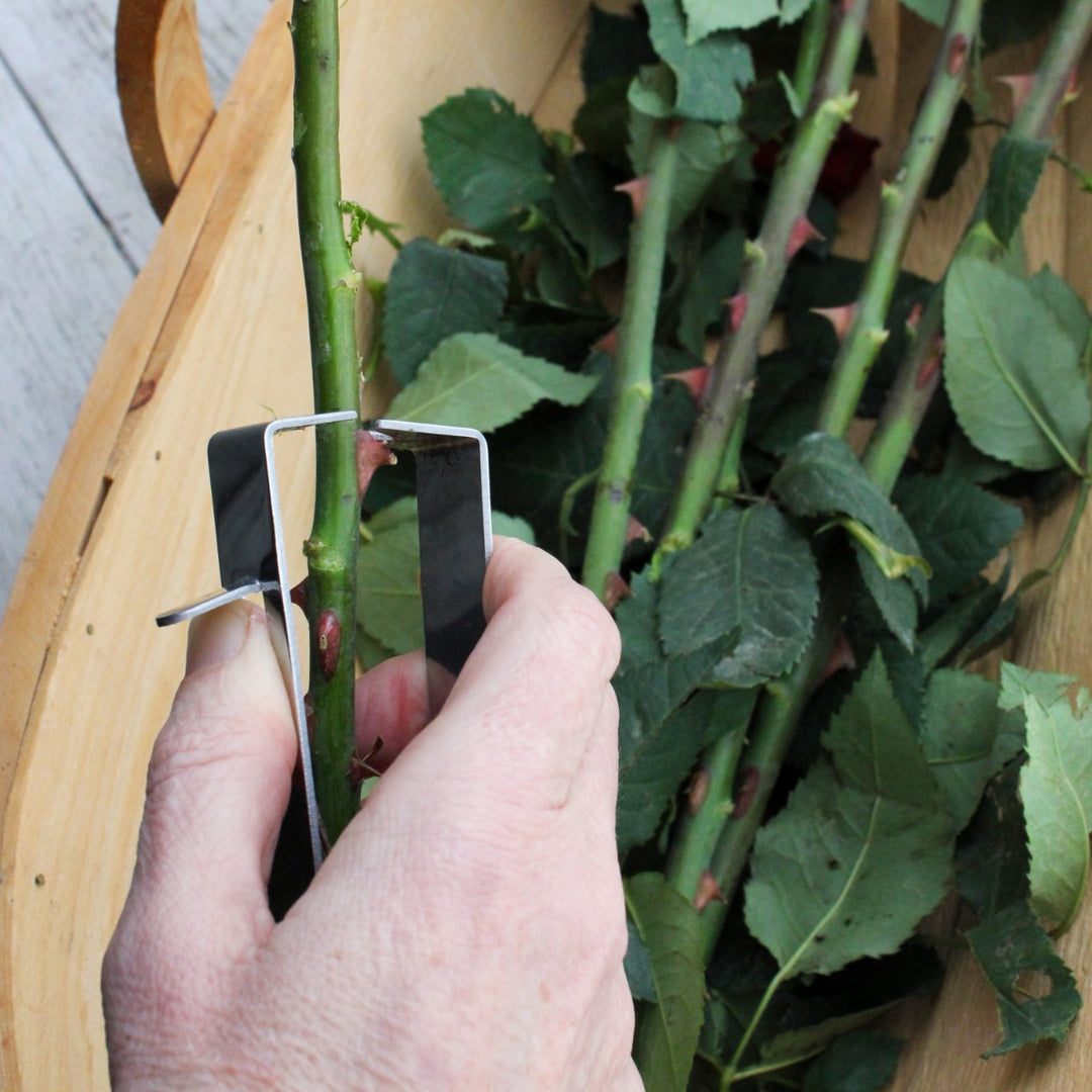 Burgon & Ball Essential Tools - Thorn Stripper