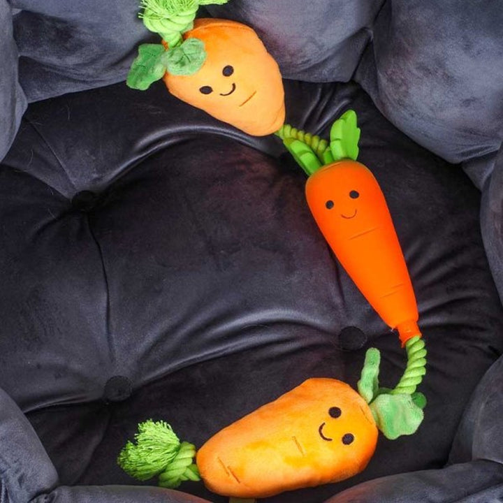Smart Garden Dog Toy - Tugga Carrots