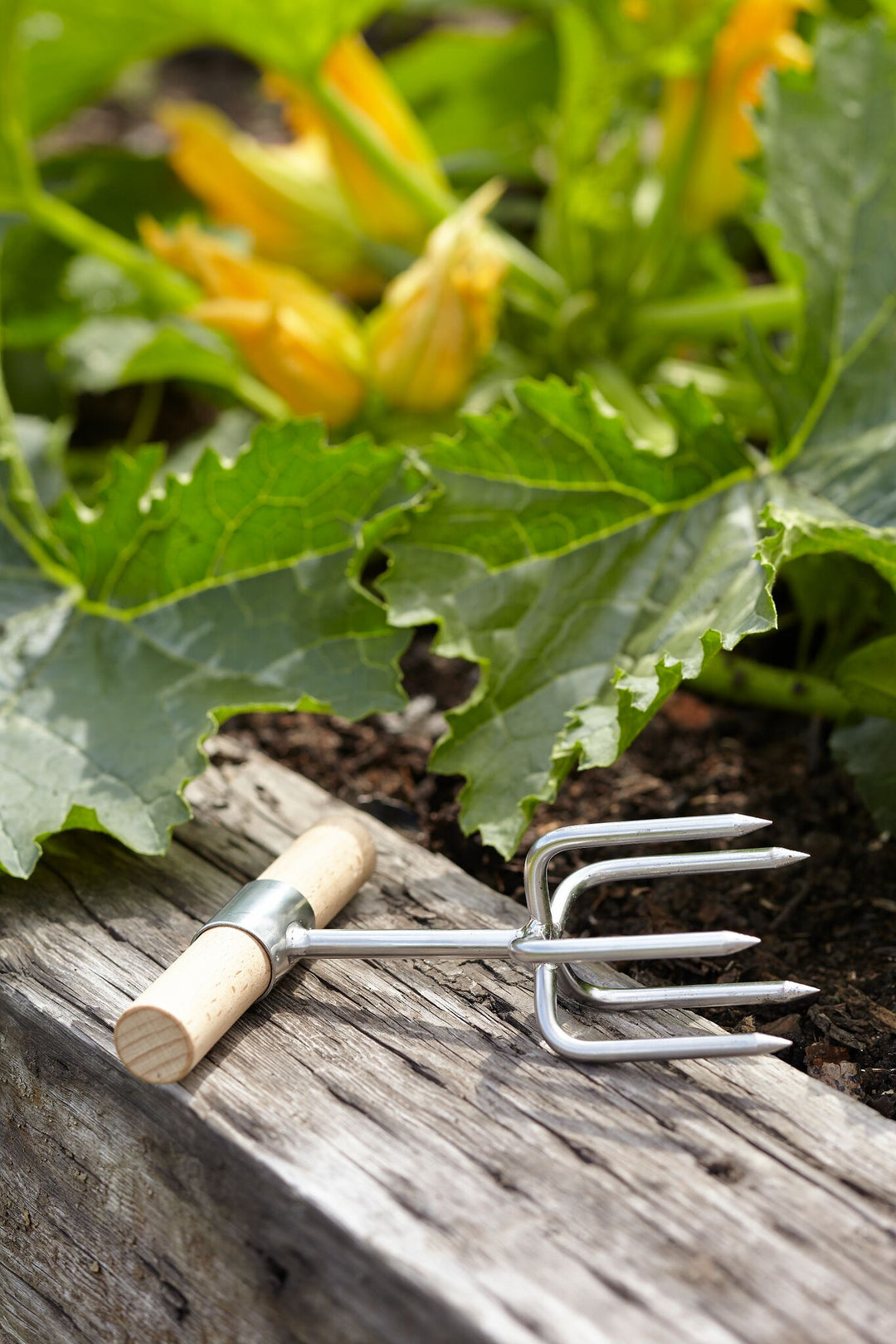 Sophie Conran Twist Cultivator