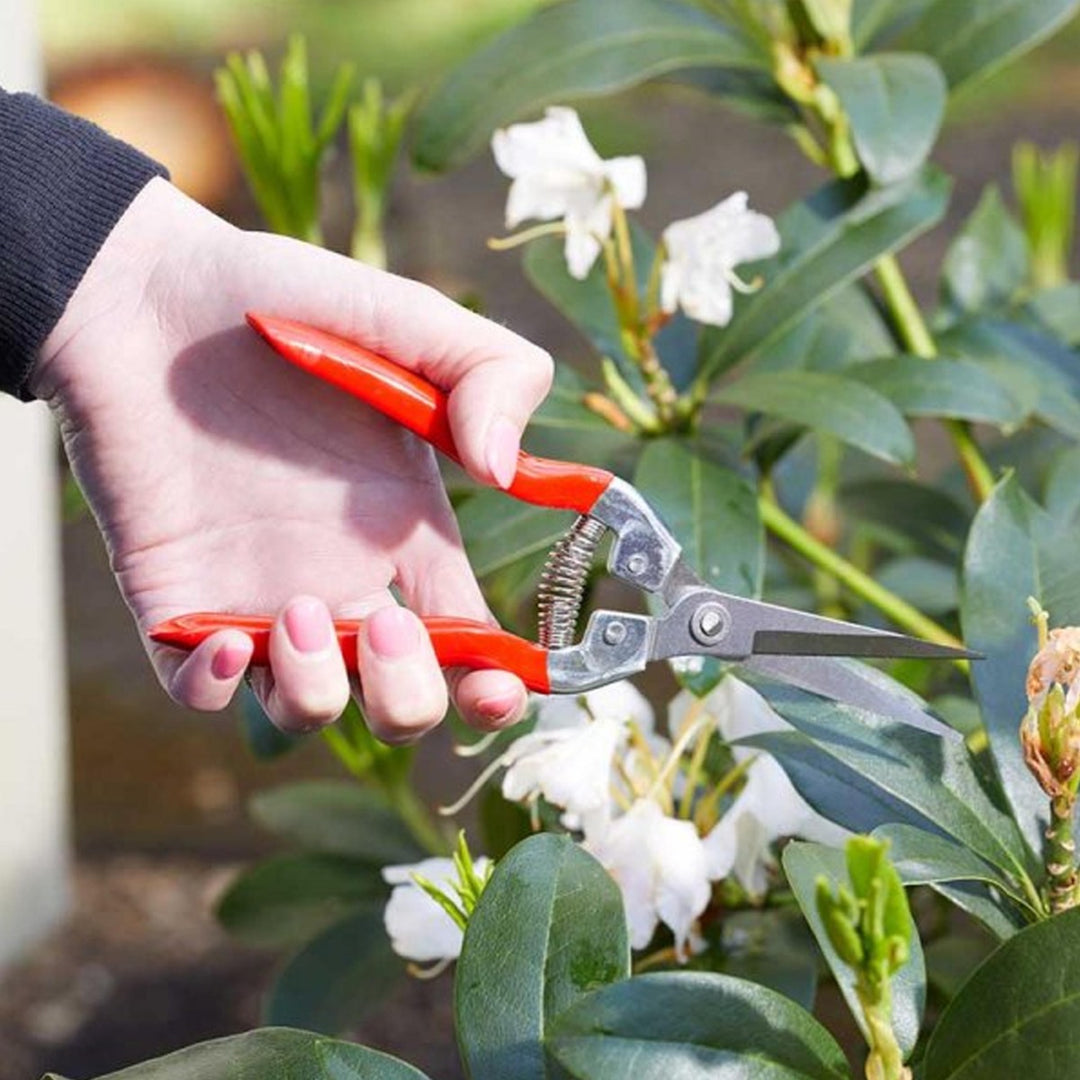Smart Garden - Useful Garden Snips