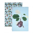 Dexam RHS Hooker Fruits Organic Cotton Tea Towels